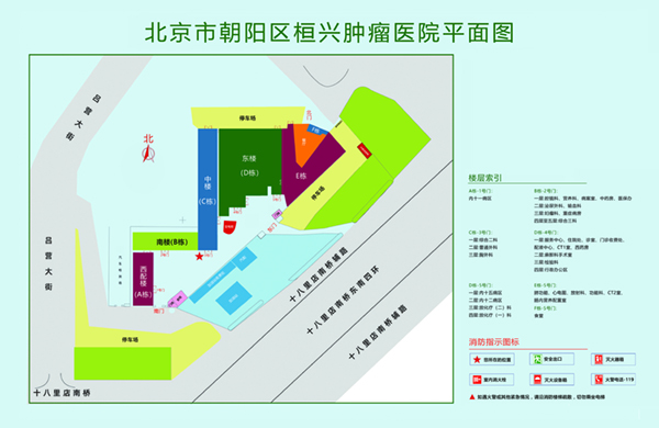 欧洲小骚逼老骚逼北京市朝阳区桓兴肿瘤医院平面图